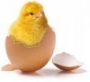 Easter